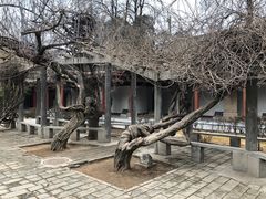 -黄帝陵