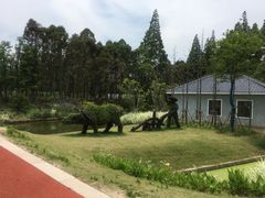 -上海长兴岛郊野公园