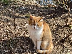 -终南山南五台景区