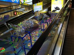 -凯德MALL(望京店)
