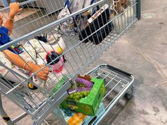 阳光玫瑰青提-盒马X会员店(王府井奥莱UP TOWN店)