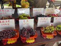 -马陆小张葡萄园农家乐