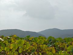 -南北湖风景区