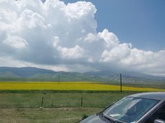 -撒拉人家.酸菜牦牛肉火锅