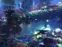 -迪拜帆船酒店海底餐厅