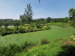 -东郊湿地公园