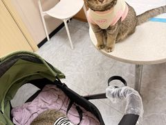 -安安宠医·臻爱宠物医院·宠保定点(营门口路分院)