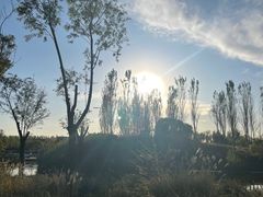 -东郊湿地公园