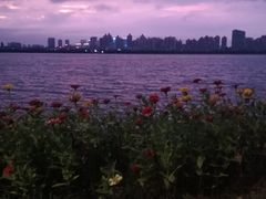 -艾溪湖湿地公园