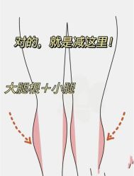 -Fundi张玉珊修身堂·indiba·BTL科技瘦身