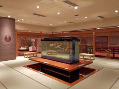 -大江户·温泉洗浴(浑南店)