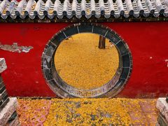 -泰山风景名胜区-普照寺