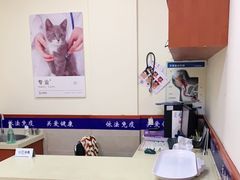 -艾贝尔宠物医院·狂犬免疫点(江山金象城店)