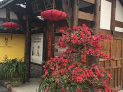-秀丽东方