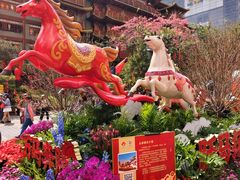 -越秀西湖花市(广州城市广场花卉店)
