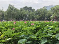 -四川大学(望江校区)