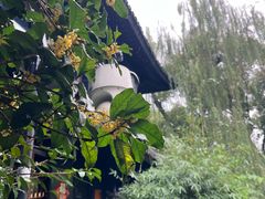 -柳莺湖上·湖景餐厅·江南菜(西湖店)