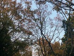 -八大关景区