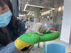 -怪兽屋·羊驼·猫咖·狗咖(俊华广场店)