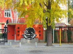 -三里屯东五街银杏大道