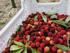 -宝岩生态观光园