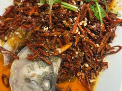-杨氏青龙虾·羊蝎子(珠江路店)
