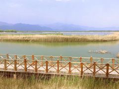 -野鸭湖国家湿地公园