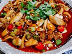 -青城甲(青城山店)