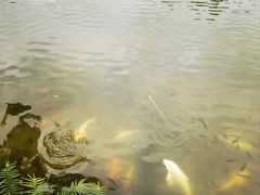 -金山植物公园