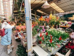 -曲阳花鸟市场(曲阳路店)