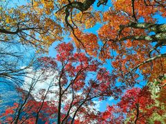 -叠溪松坪沟景区
