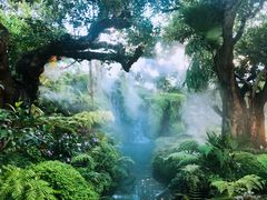 -Chom Cafe and Restaurant