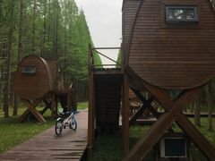 -黄海国家森林公园