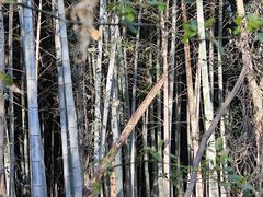 -绍兴镜湖国家城市湿地公园
