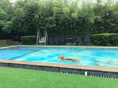 -汪说喵讲宠物乐园宠物酒店(红星美凯龙店)