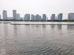 -尚贤河湿地