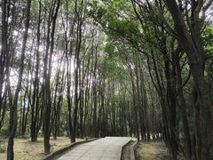 -火炉山森林公园