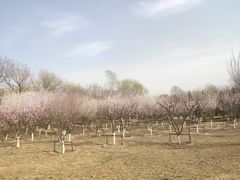 -永定河休闲森林公园