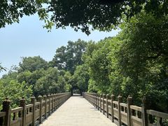 -南山植物园