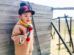 -上海都市菜园