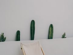 -皮市街