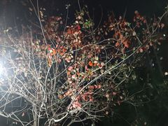 -VS SPORTS PARK运动玩乐园·团建·生日会(合生汇店)