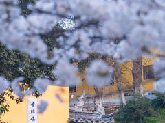 -鸡鸣寺