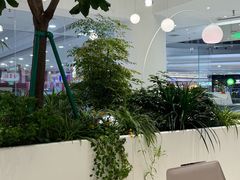 -大树餐厅(红旗街万达店)