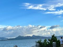 -深圳湾公园(南山区)