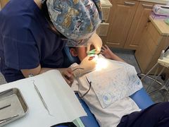 -上海康怡口腔门诊部Alpha Dental