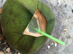 -东郊椰林