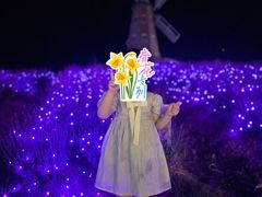 -大塘金香草谷