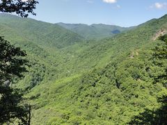 -五女峰国家森林公园