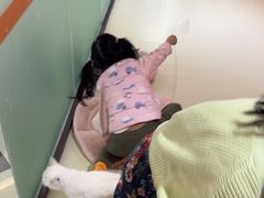 -三花喵·撸猫购宠·宠物生活馆(虹桥南丰城店)